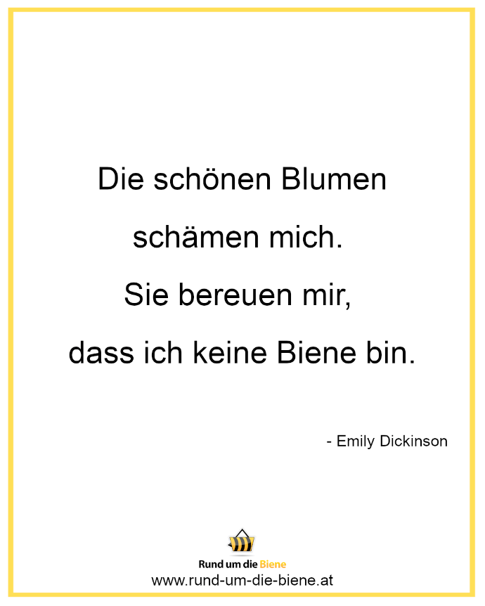 Zitate über Bienen Rund um die Biene